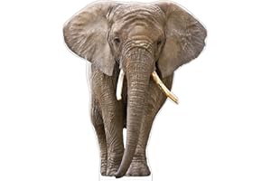 MAMMA KIDDIE Life Size Cardboard Cutout Standup | Waterproof | Animals - Elephant