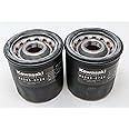 Kawasaki (Pack of 2) 49065-0724 Oil Filter Fits 49065-7010 OEM
