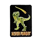 "Dinosaur Never Forget" Asteroid & Tyrannosaurus Rex Humor - Iron on Embroidered Patch Applique