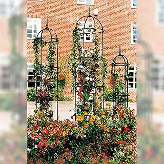 Beckmann Obelisk 59 x 268 cm