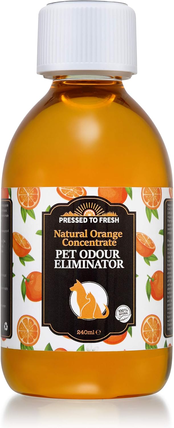 detergente enzimatico per urina di cane