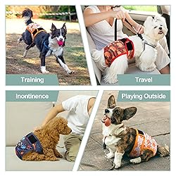 Female Dog Diapers - Premium Reusable Diapers for