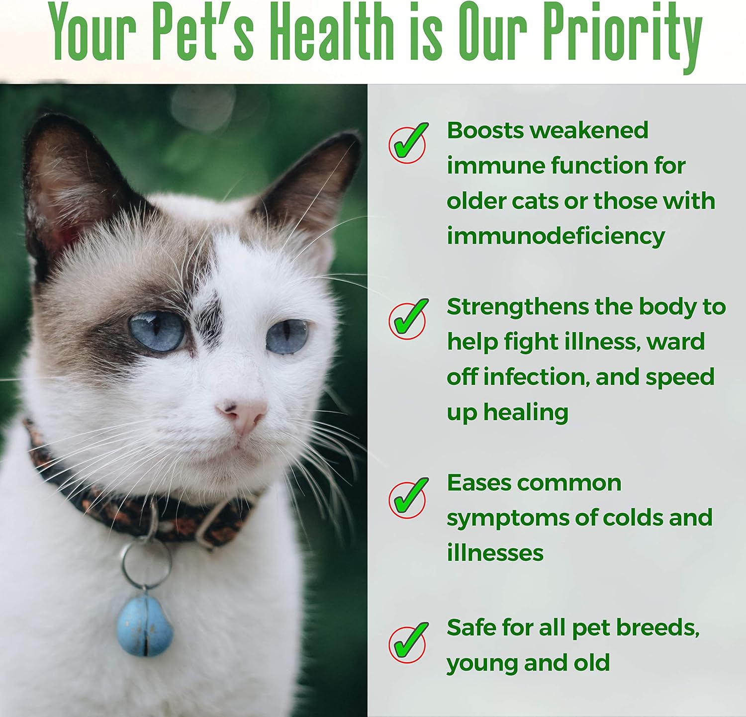 Amazon Com Bestlife4pets Immunity Boost For Cats Supplement Helps Your Feline S Respiratory And Digestive System Fight Off Colds And Infections All Natural No Fuss Remedy 450 Pills Pet Supplies