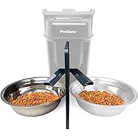 best auto cat feeder