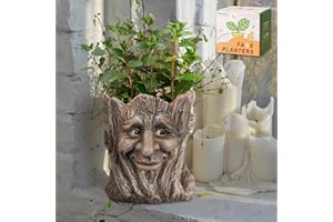 EIIORPO Face Planter Pots Head Planter - Flower Pots Succulent Planters Unique Planters for Outdoor Indoor Plants - Halloween Easter Garden Decorations Creative (B)