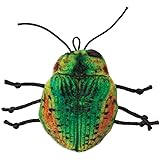 jackson galaxy satellites