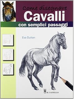 Amazonit Come Disegnare Uccelli Con Semplici Passaggi