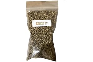 Ripkitty Premium 20g Whole Hemp Seeds, Kosher, Vegan, Allergen-Free, Organic