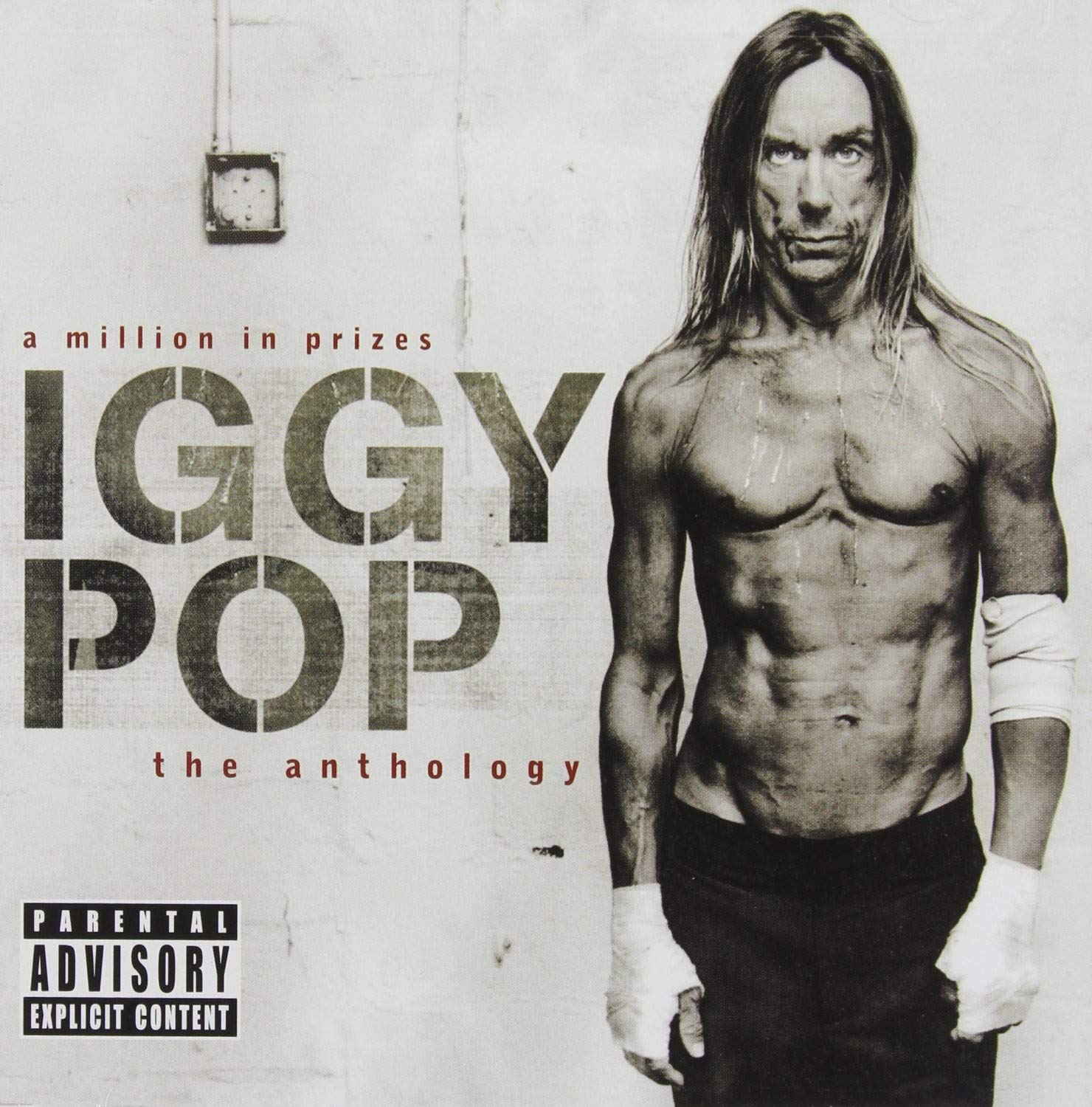 IGGY POP Million in Prizes The Iggy Pop Music