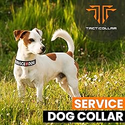 Tacticollar - Service Dog