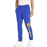 champion flock script grey jogger sweatpants