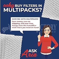 2-Pack Air Filter Factory Replacement For Sunbeam