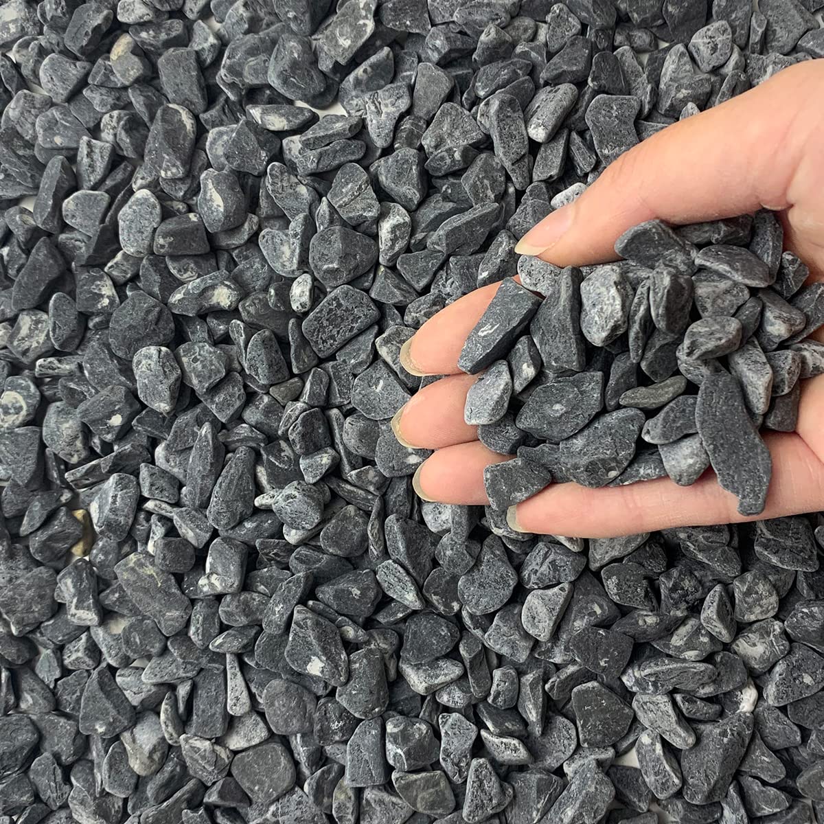 FANTIAN 10lbs Black Gravel Pebbles, 6-9 mm Black Stones for Plant Pots, Garden, Aquarium, Plants Rocks, Vase Fillers, Succulents, Terrariums, Landscaping, Outdoor Decorative Rock
