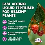 Doff Drip Feeders 10 Pack for Hanging Baskets & Tubs view 3