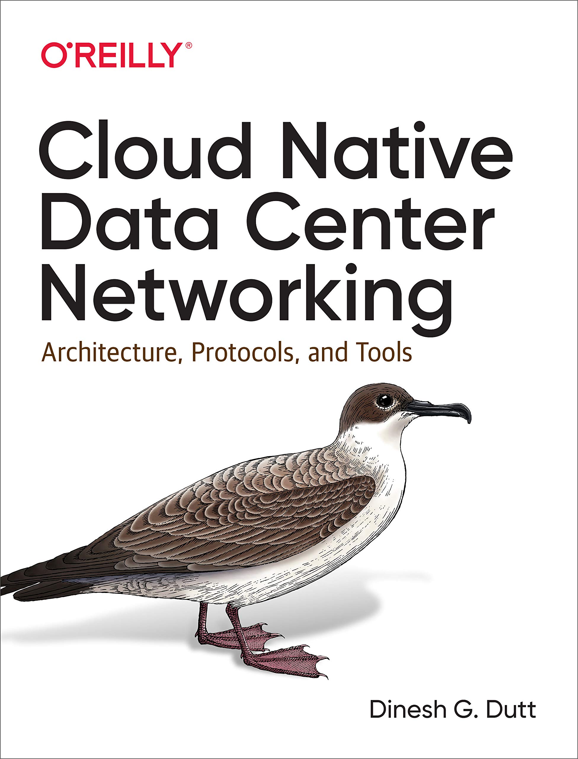 Cloud Native Data–Center Networking: Architecture, Protocols, and Tools