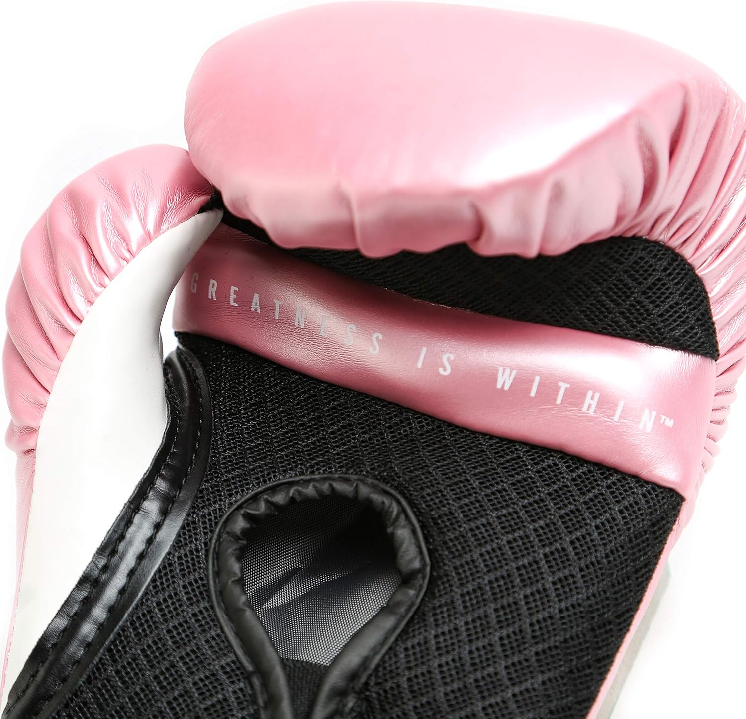 Everlast Women's Pro Style Training Gloves : Training Boxing Gloves : Sports & Outdoors