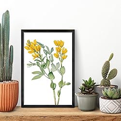 Annecy 8x12 Picture Frame Black（2 Pack）, 8 x 12