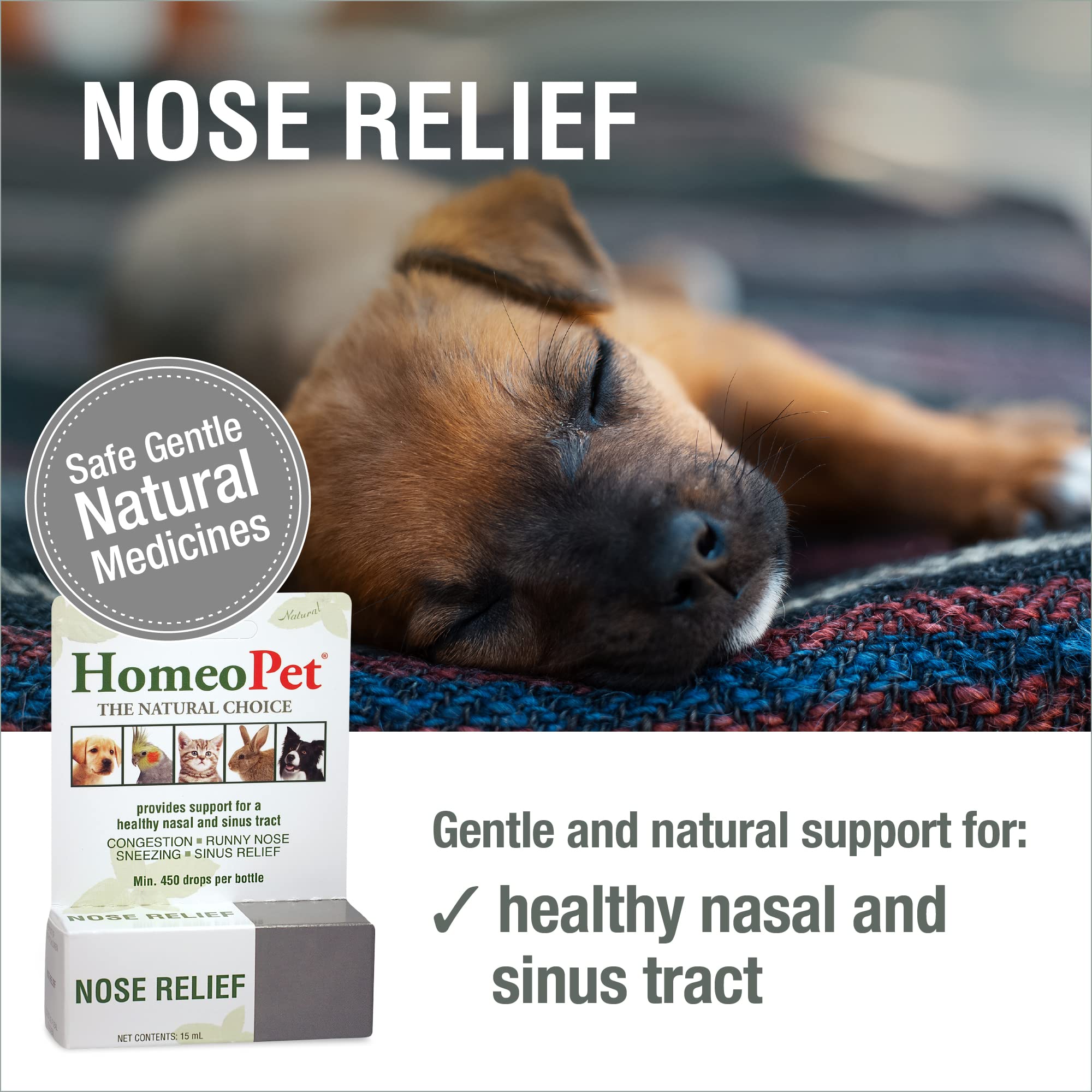 HomeoPet Nose Relief, Safe and Natural Nasal and Sinus Medicine for