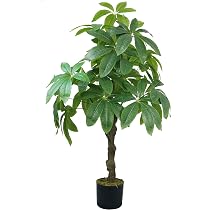 Amazon.com: Vintage Home Artificial Faux Real Touch Money Tree ...