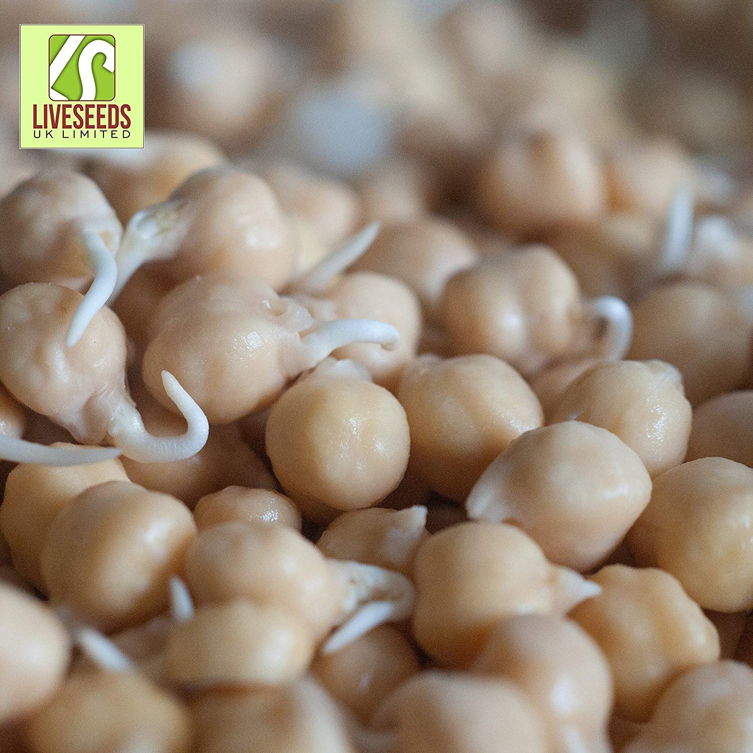 Shop Meeko 750g: Liveseeds - Semillas de garbanzo B Coles de 500g ...