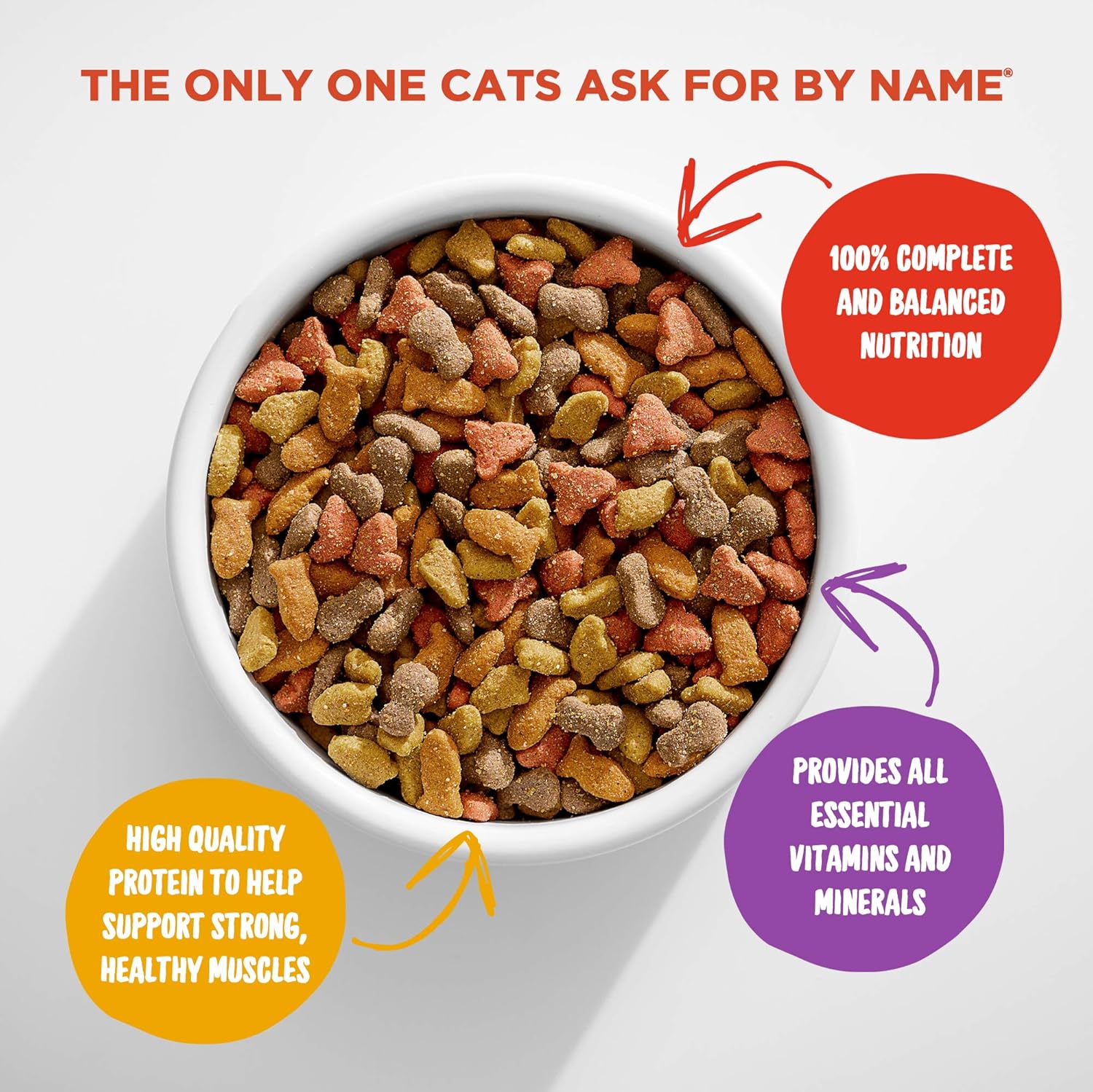 Meow Mix Original Choice Dry Cat Food, 22 Pounds : Pet Supplies