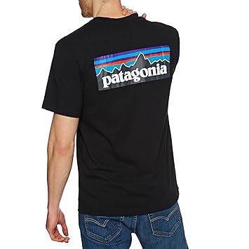 patagonia t shirt amazon