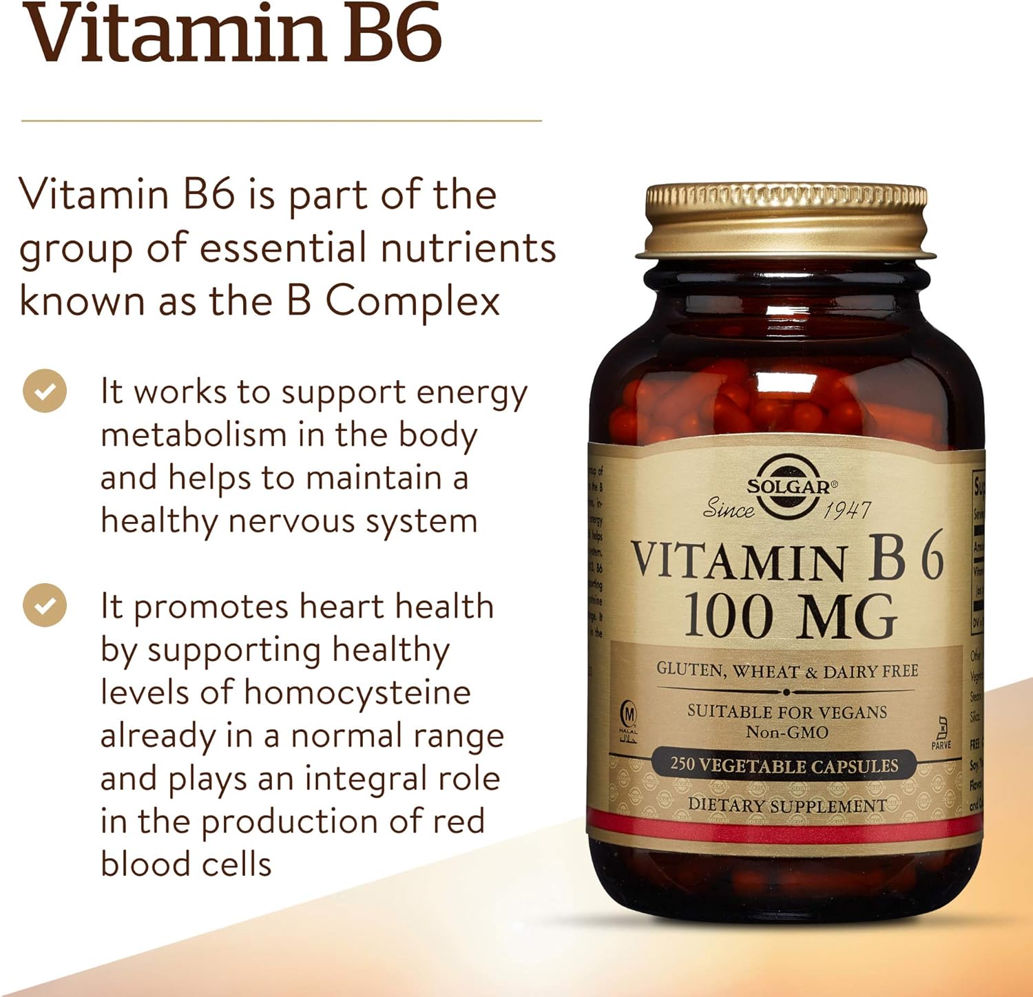 Solgar Vitamin B6, 100 mg, 250 Vegetable Capsules DailyNutriPlus LLC