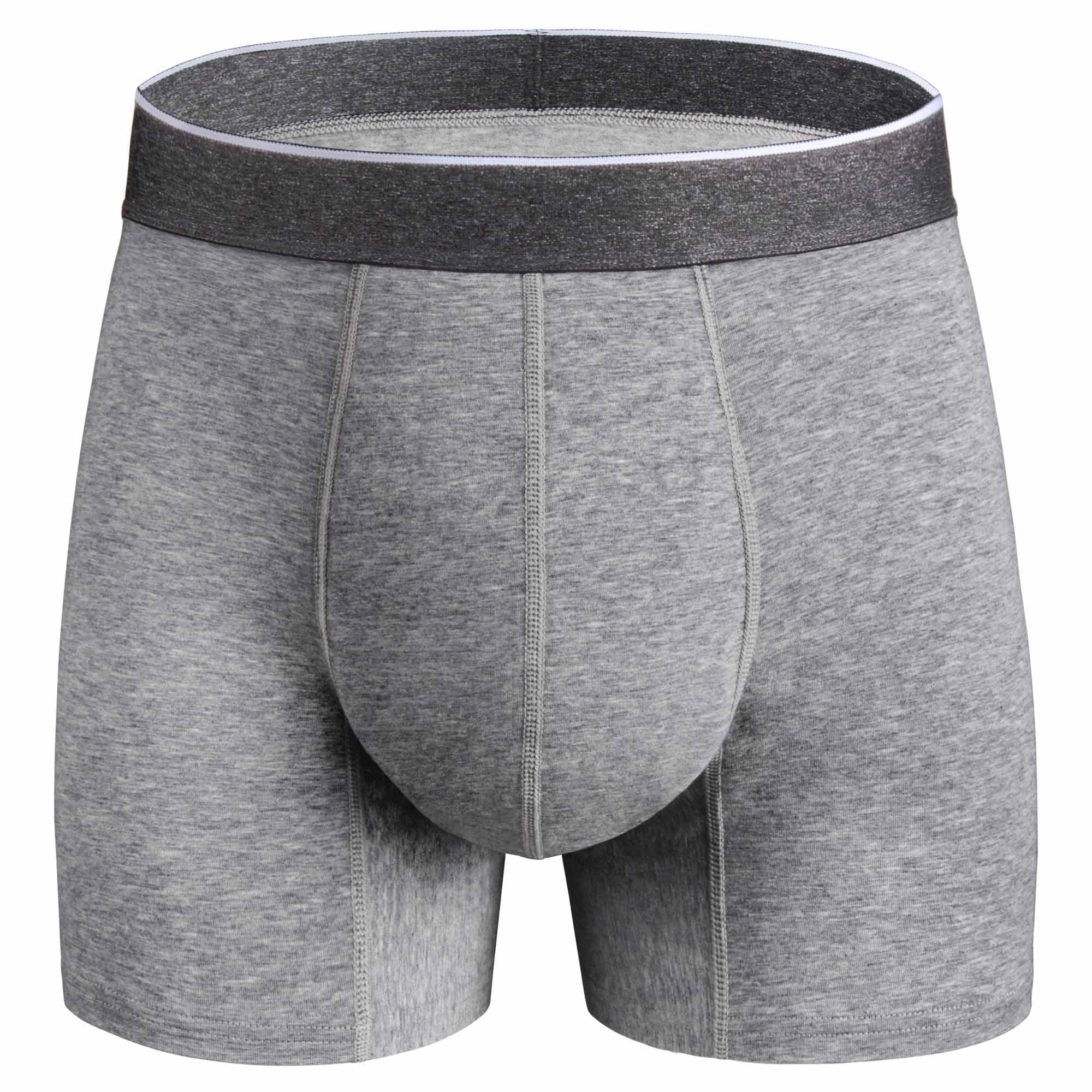 Photo 1 of REELINDRY Mens Washable Incontinence Underwear, 2.3 oz Absorbency Reusable Leak Proof Odor Control Trunks 1 Pack(Gray, L)