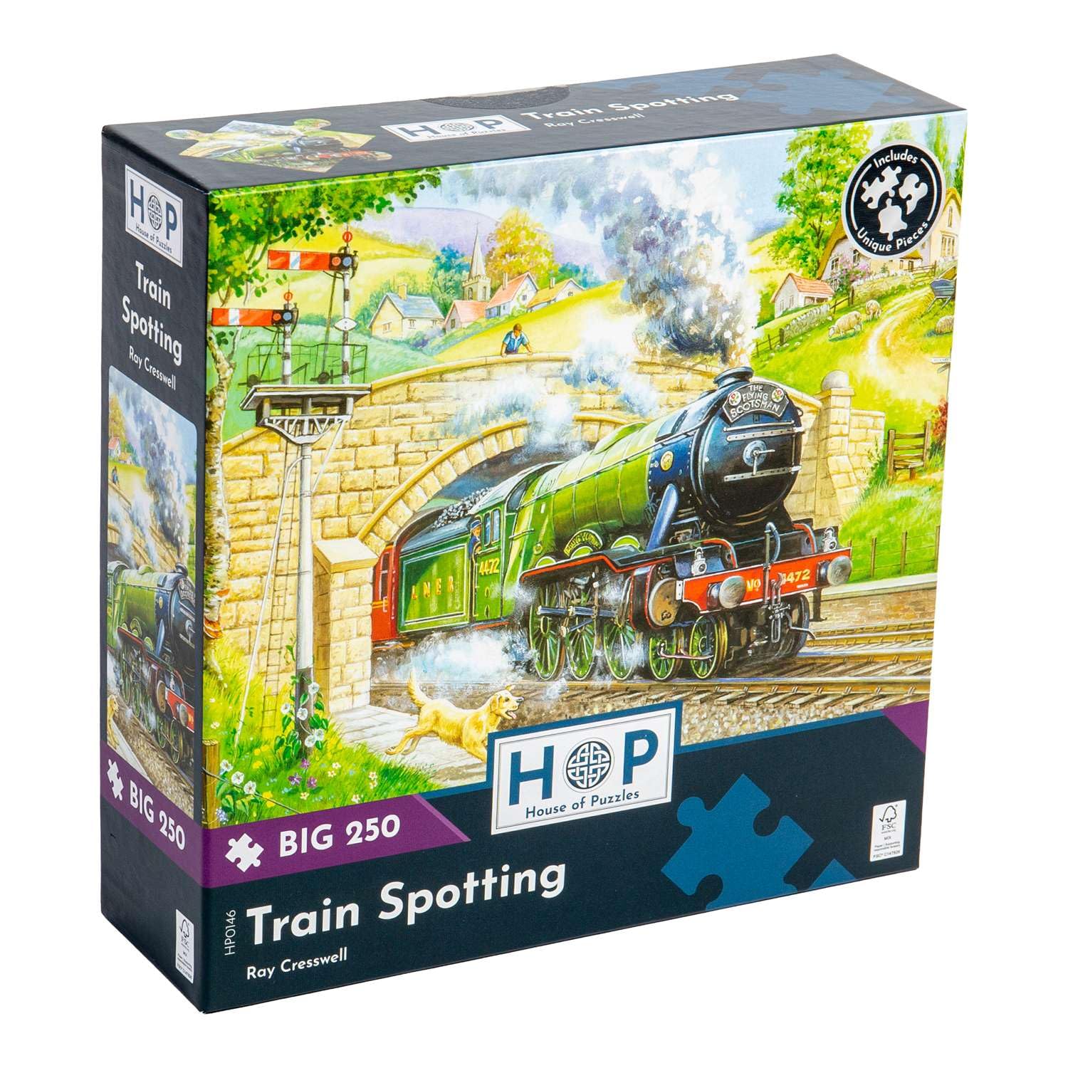 The House of Puzzles - Train Spotting Jigsaw - Big 250 Piece Jigsaws For Adults & Kids, Extra Large Pieces, Artist Illustrated, Scenic Landscape, Deluxe Puzzle Gifts โ image 1