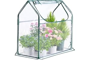 Quictent Mini Greenhouse for Indoor Outdoor, Portable Small Tabletop Green House Kit, Upgraded Waterproof UV-Resistant Seed Starter Hot House, Interior Space Expanded, 36"x18"x33", Clear