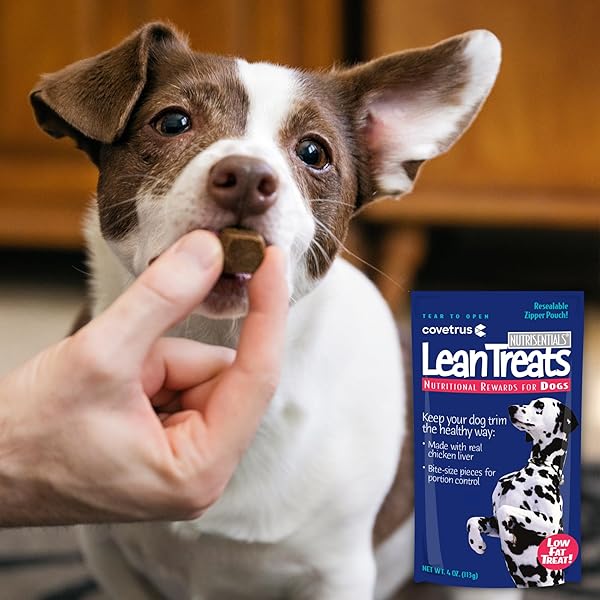 COVETRUS NUTRISENTIAL LEAN TREATS FOR DOGS – SMALL, MEDIUM & LARGE DOGS (K9) – NUTRITIONAL LOW FAT, BITE-SIZE – SOFT CHICKEN FLAVOR – 1 PACK – 4OZ