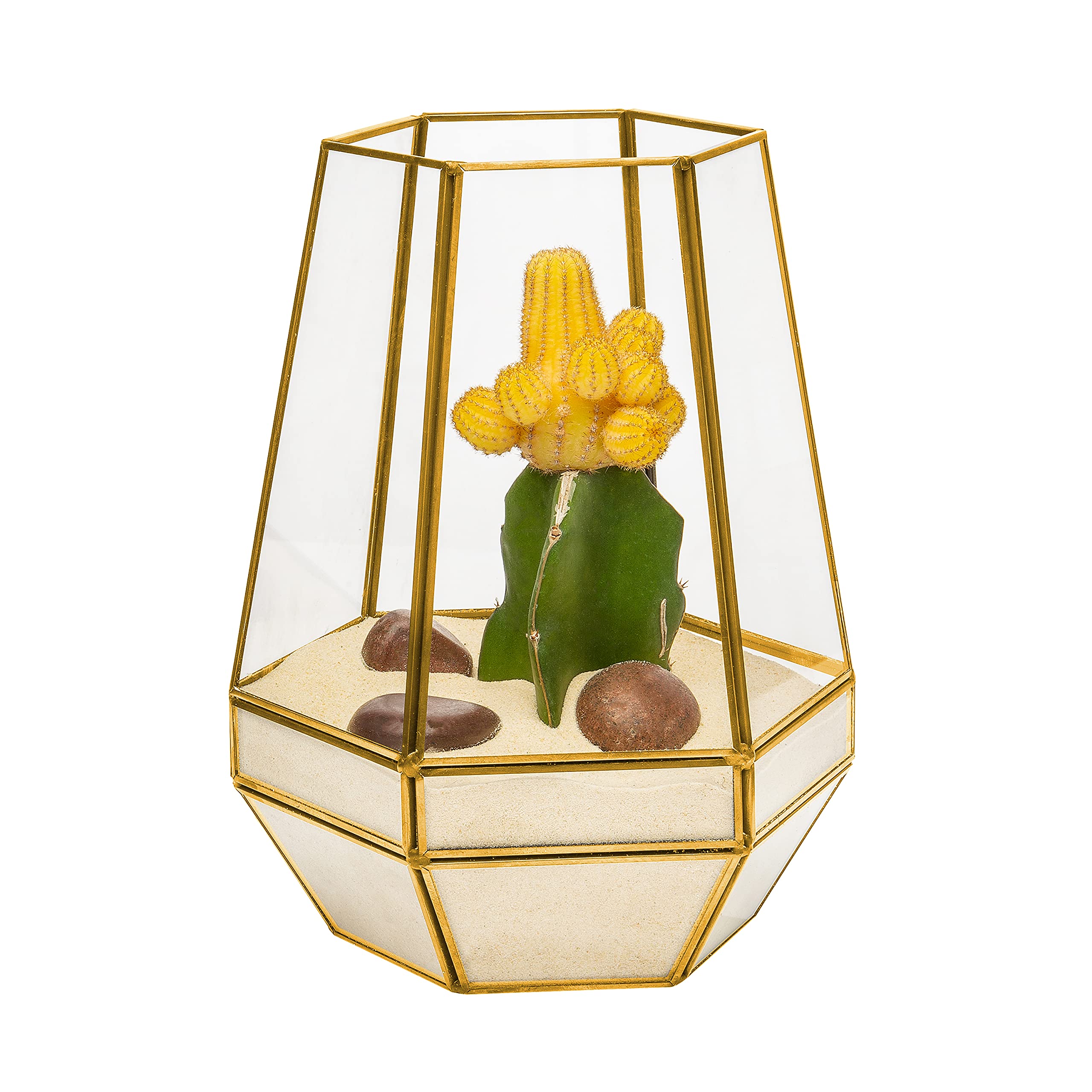 UltraByEasyPeasyStore Ultra 18x18x23cm Gold Clear Glass Terrarium Planters Geometric Shape For Displays Weddings Unique Centrepiece Or Windowsills For Air Plants Fern Moss Succulents Indoor Garden