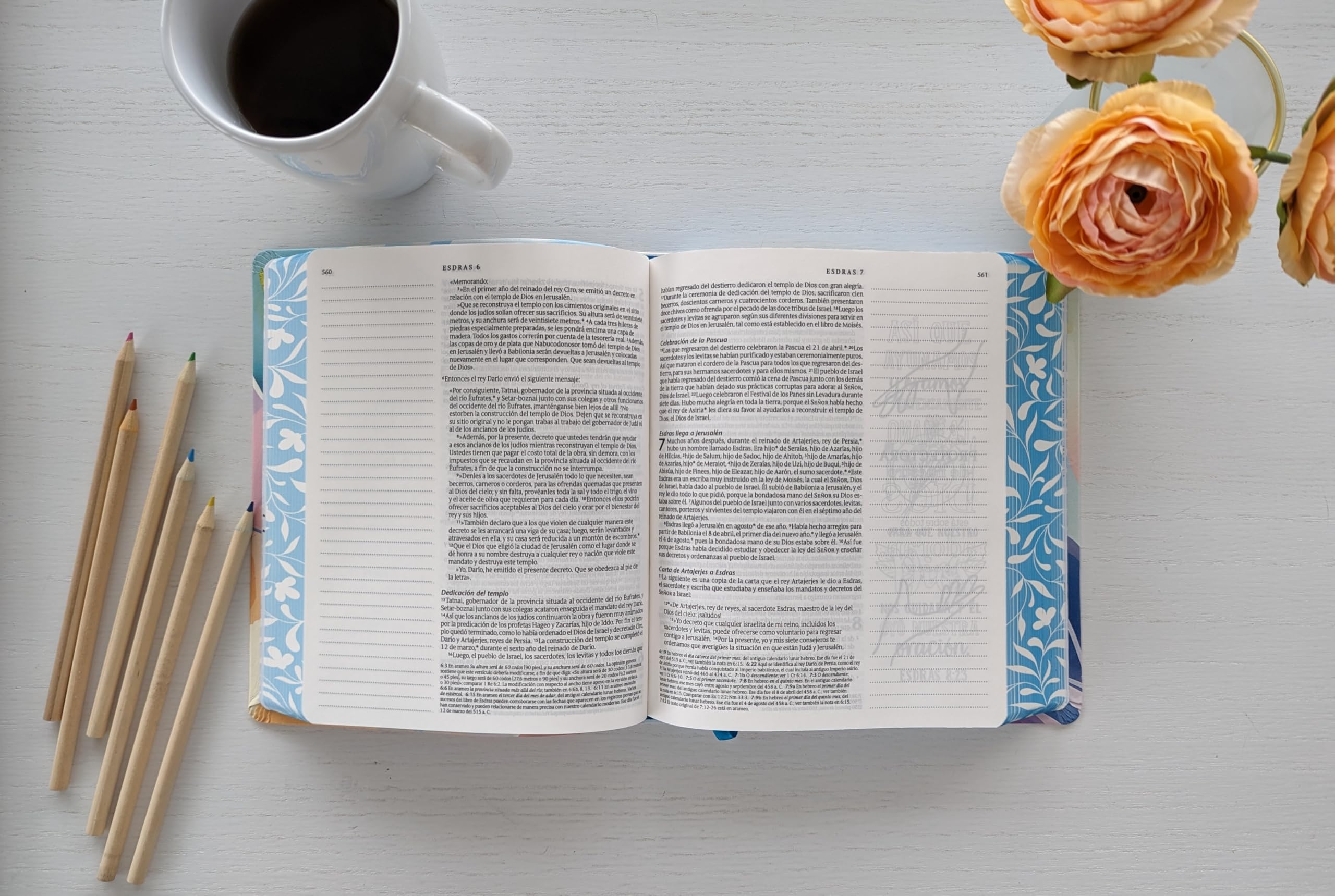 Biblia Inspira NTV (SentiPiel, Paraíso floral): La Biblia que inspira tu creatividad (Spanish Edition)