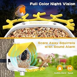 birdsnap® MON - Smart Bird Feeder with Camera, 2K