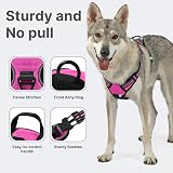 Belababy Dog Harness Small Medium Large No Pull Adjustable Reflective Front view 3