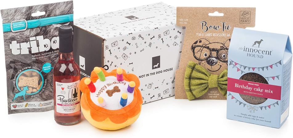  dog birthday gift set a complete birthday tastic dog gift amazon co 