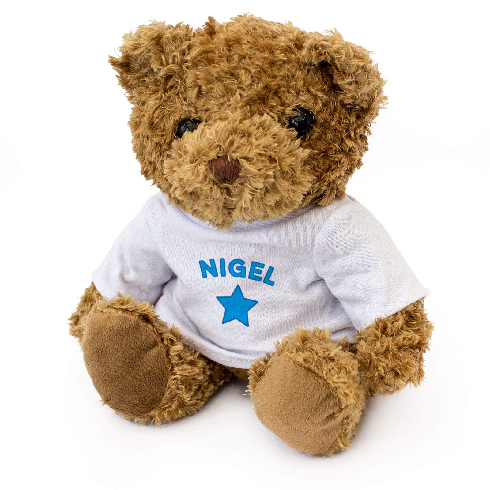 NIGEL Teddy Bear - Cute Soft Cuddly - Gift Present Birthday Xmas