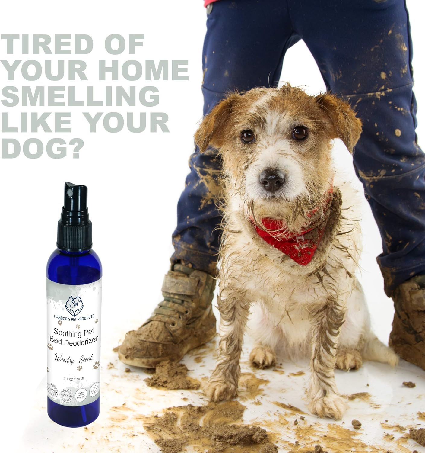 dog bed spray