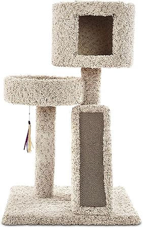 you and me afternoon abode cat tree