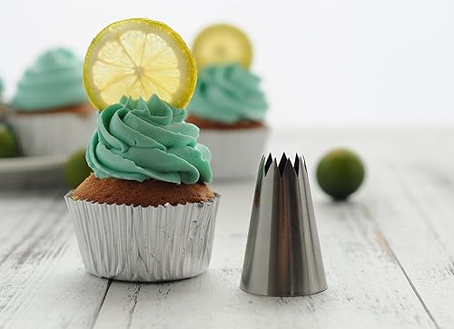 BeBeFun Piping Tips Large Icing Tips Cake Decorating Large Piping