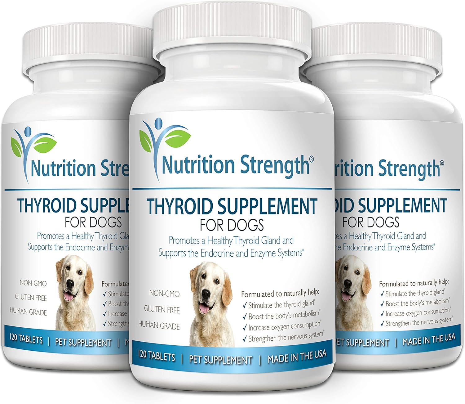 thyroid supplements for dogs