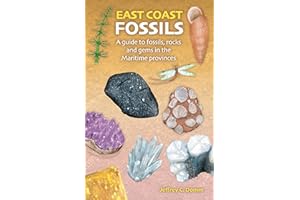 East Coast Fossils: A guide to fossils, rocks and gems in the Maritime Provinces
