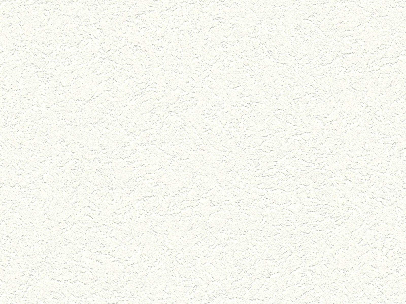 A.S. Création Non-Woven Wallpaper Meisterputz Structure Wallpaper 15.00 m x 53 cm White Made in Germany 337412 3374-12