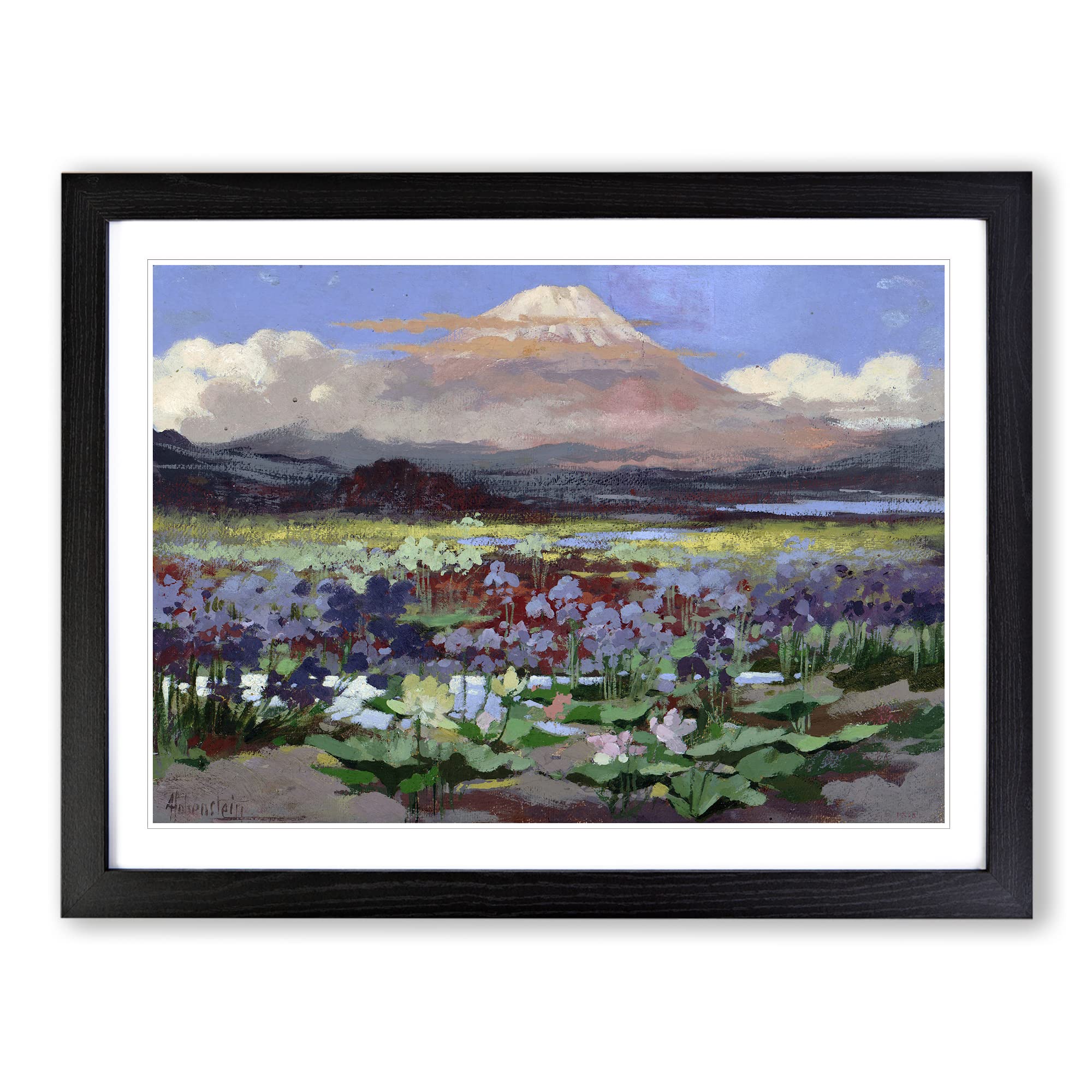 Expanse Of Irises By Adolfo Hohenstein Classic Painting Framed Wall Art Print, Ready to Hang Picture for Living Room Bedroom Home Office Décor, Black A3 (46 x 34 cm)