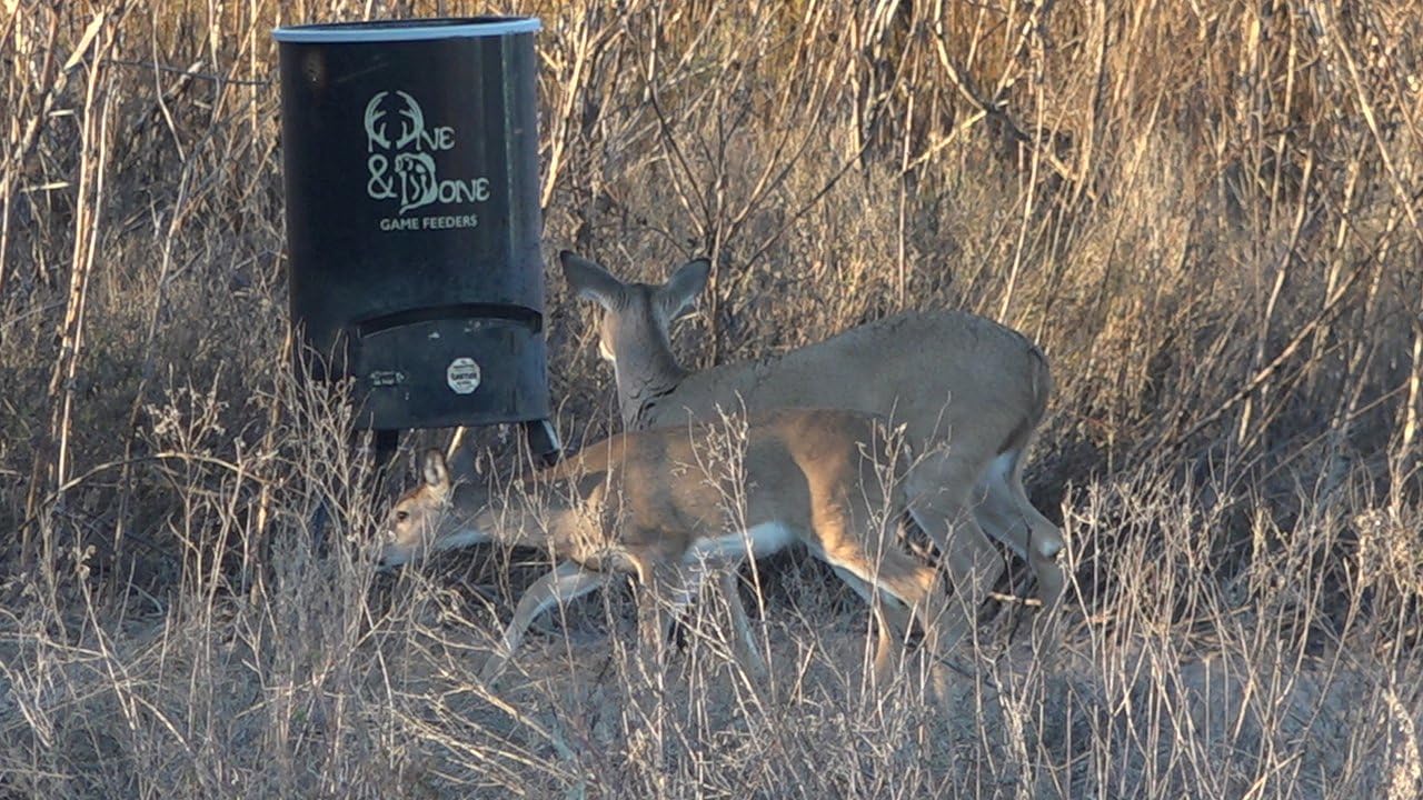 Amazon Com One And Done Game Feeder Loads 130lbs 250 Lbs 500
