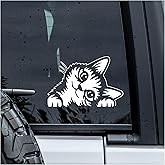 MYMKO Cat Peeking Decal, Funny Pet Mom Car Window Decals, 6 Inches UV DTF Tranfer Car Stickers, Aesthetic Cute Animal Weatherproof Car Truck Window Bumper Sticker, Humor Car Decals for Cats Lovers