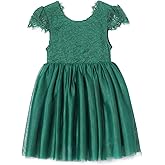Niyage Toddler Girls Tulle Princess Party Dress Baby Elegant V-Back Lace Flower Girl Dresses