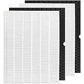 2 Sets 116130 HEPA Replacement Filter H 116130 for Winix 5500-2 Plasmawave Air Purifier and Models AM80 - HEPA Filter and Activated Carbon Filter Combo Pack
