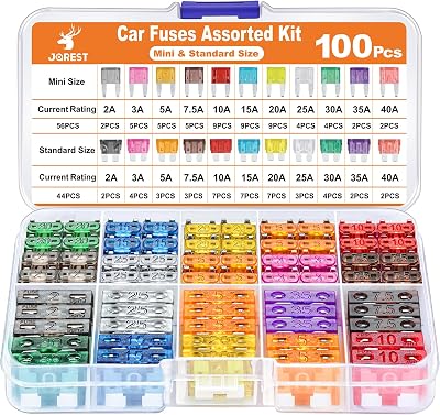 Jorest 100Pcs Car Fuse Kit Mini + Standard Fuses 11 Specs 2A-40A with Puller