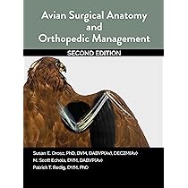 Avian Medicine and Surgery in Practice: Companion and Aviary Birds